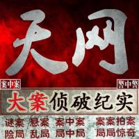 天網
