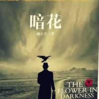 暗花 （諜戰小說）