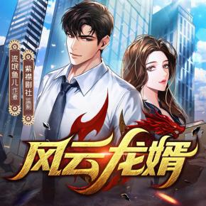 風云龍婿