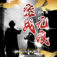 密戰無痕