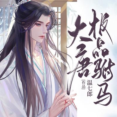 大唐極品駙馬
