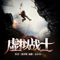 虛擬戰(zhàn)士