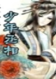 少年丞相