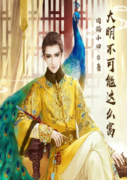 大明不可能這么富