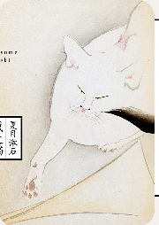 我是貓