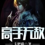 高手無敵