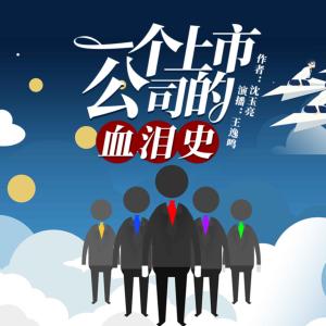 一個上市公司的血淚史