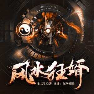風水狂婿