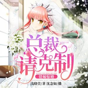 錯嫁驚婚：總裁請克制