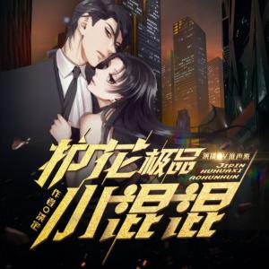 護花極品小混混