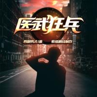 醫(yī)武狂兵