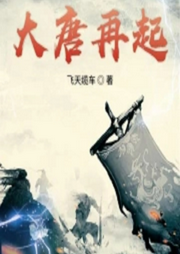 大唐再起