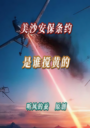 美莎安保條約